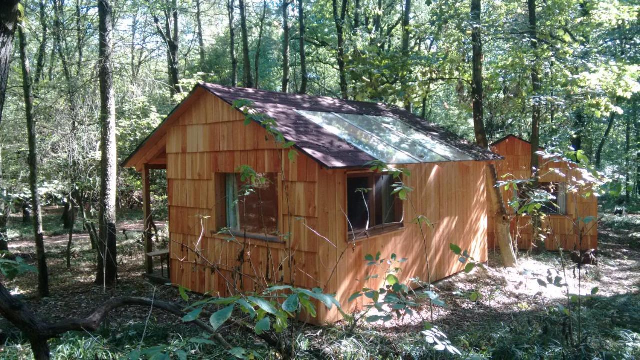 Oberkreuzstetten Ochys Waldfreizeitpark 빌라 외부 사진